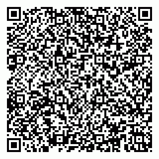 vCard 79104997303