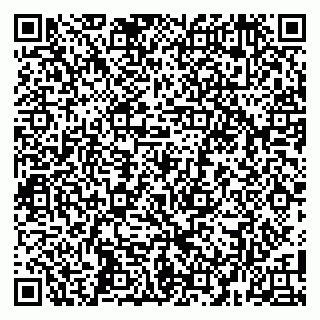 vCard 79104997399
