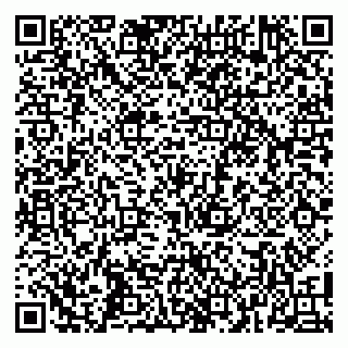 vCard 79104998503