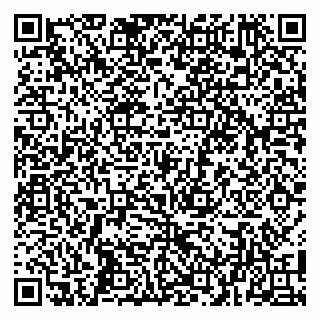 vCard 79104998902