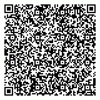 vCard 79104999789