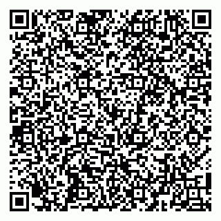 vCard 79104999887