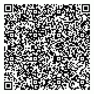vCard 79105000039
