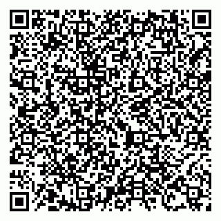 vCard 79105000537