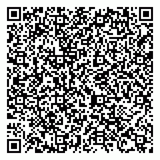 vCard 79105000539