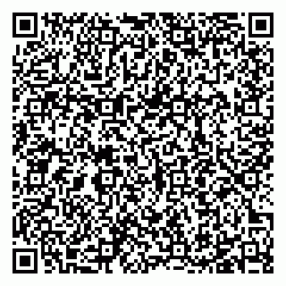 vCard 79105600011