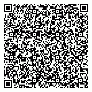 vCard 79105600303