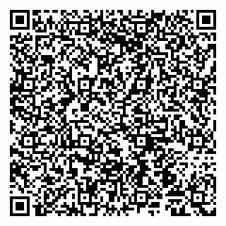 vCard 79105800211