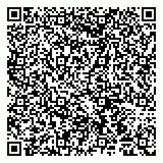vCard 79105800276