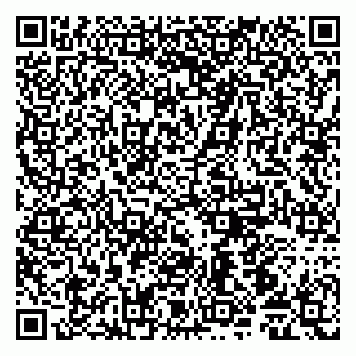 vCard 79105800336