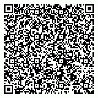 vCard 79107000539
