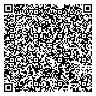 vCard 79107001039