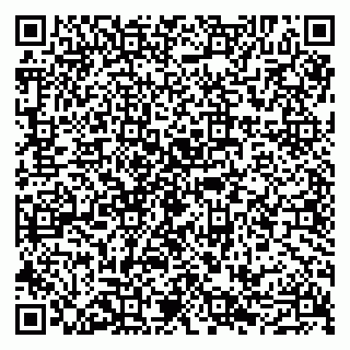 vCard 79107002700
