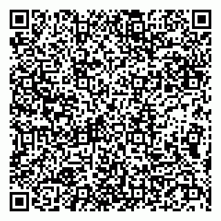 vCard 79107004039