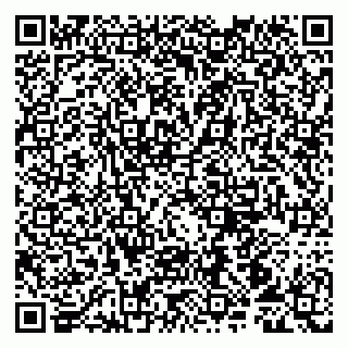 vCard 79107010313
