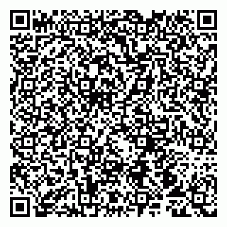 vCard 79107010531