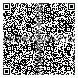vCard 79107011008
