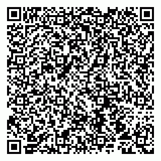 vCard 79107011030