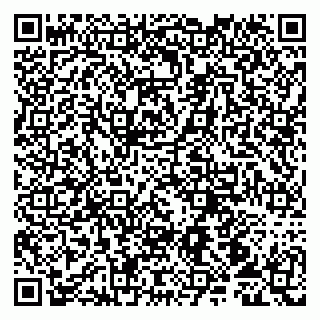 vCard 79107011033