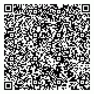 vCard 79107013005