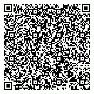 vCard 79107013008