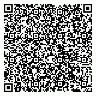 vCard 79107013009