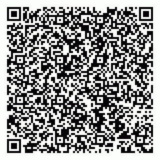 vCard 79107013051