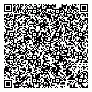vCard 79107013081