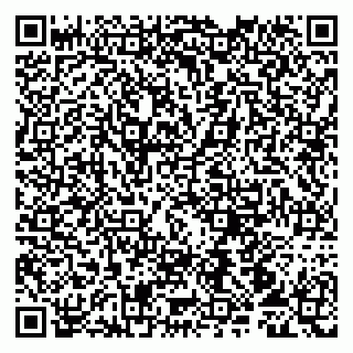 vCard 79107013110