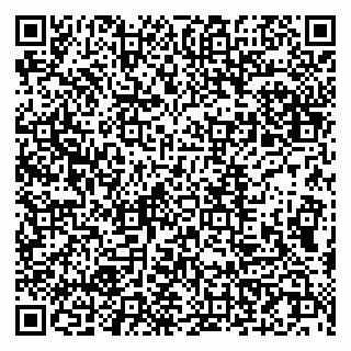 vCard 79107013319