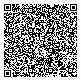 vCard 79107013381