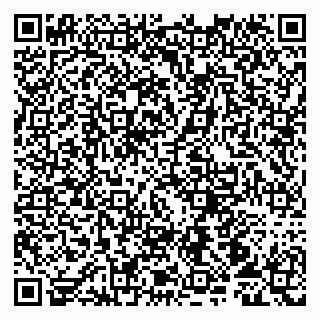 vCard 79107013529