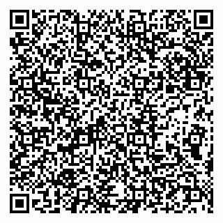 vCard 79107013539