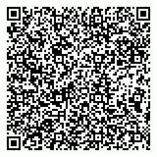 vCard 79107013727