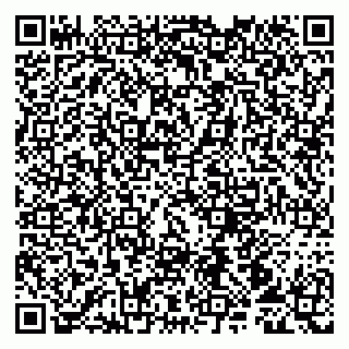 vCard 79107013747