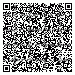 vCard 79107013751