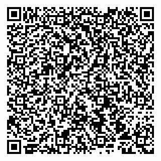 vCard 79107013803