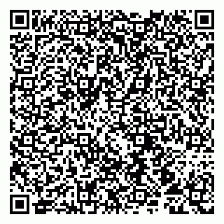 vCard 79107013811