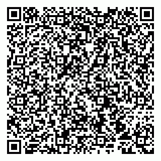 vCard 79107013881