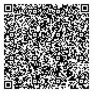 vCard 79107013911