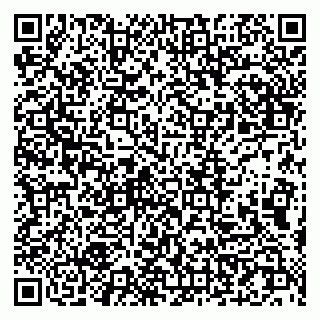 vCard 79107013927