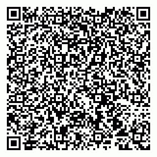 vCard 79107013931