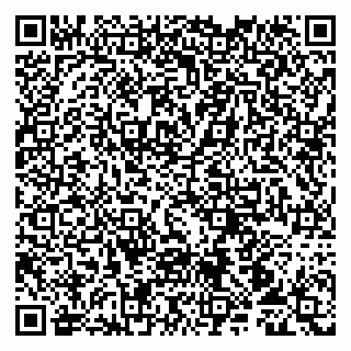 vCard 79107014011
