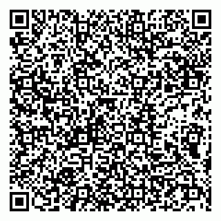 vCard 79107014317