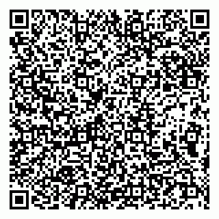 vCard 79107017931