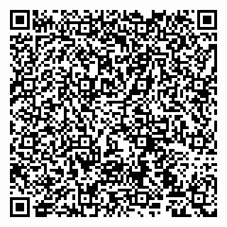 vCard 79107020039