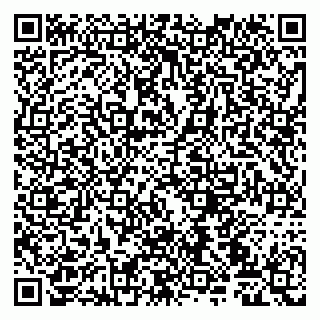 vCard 79107020513