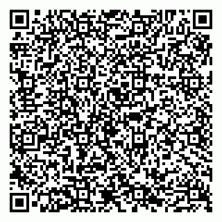 vCard 79107021339