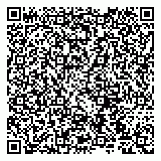 vCard 79107025380
