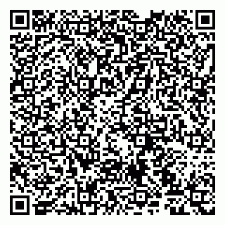 vCard 79107027039
